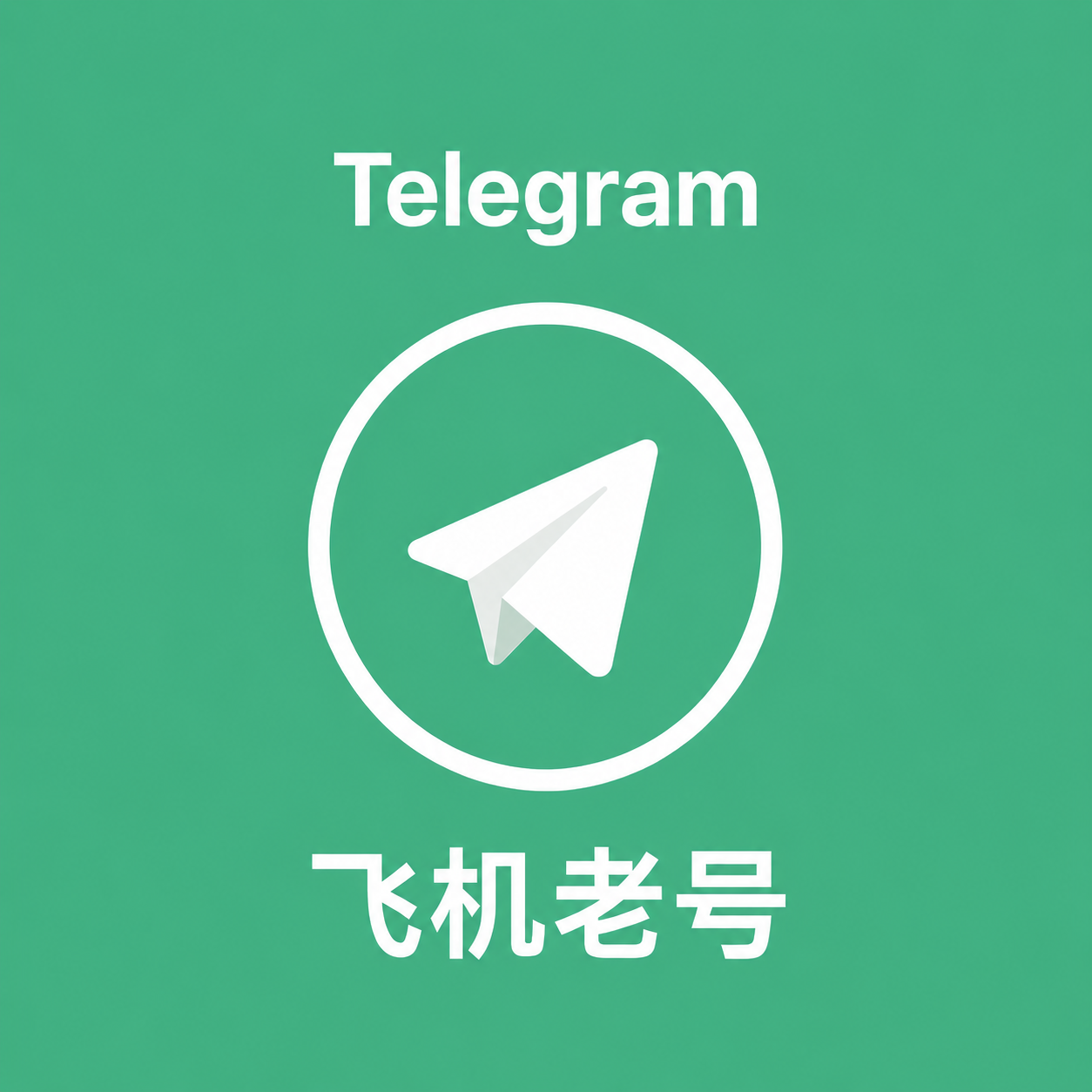 +1 美国 长期接码老号 2-4年