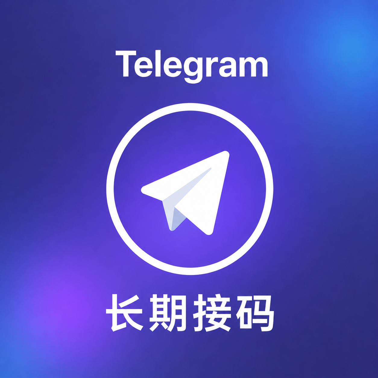 +1 美国 长期接码号